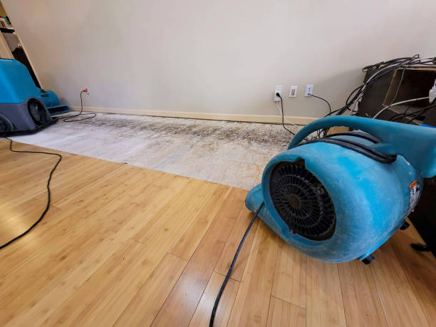 Professional Water Extraction technician working in Courtland, MN
